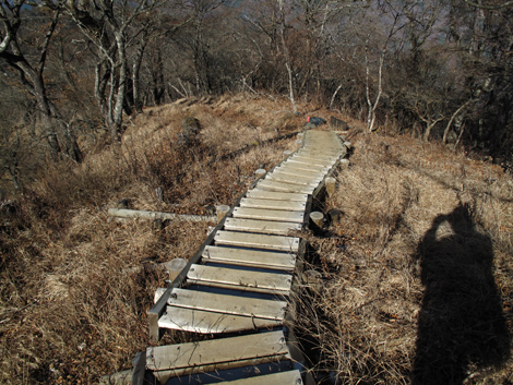 20171207hike (213)